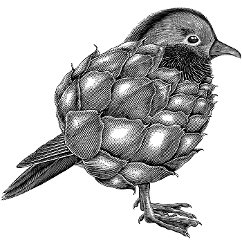 OISEAU 2